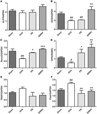 A Metabolomics Study on the Bone Protective Effects of a Lignan-Rich Fraction From Sambucus Williamsii Ramulus in Aged Rats